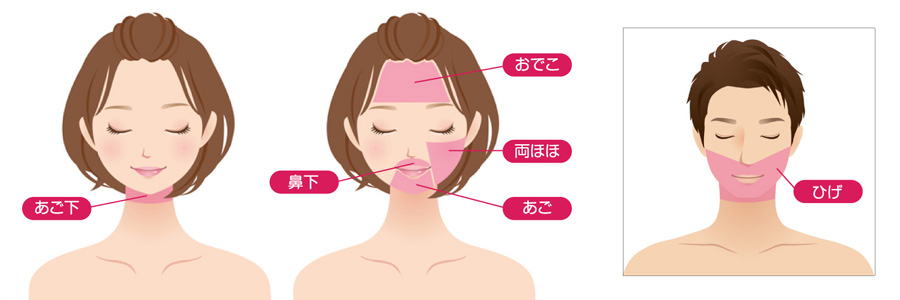 施術箇所